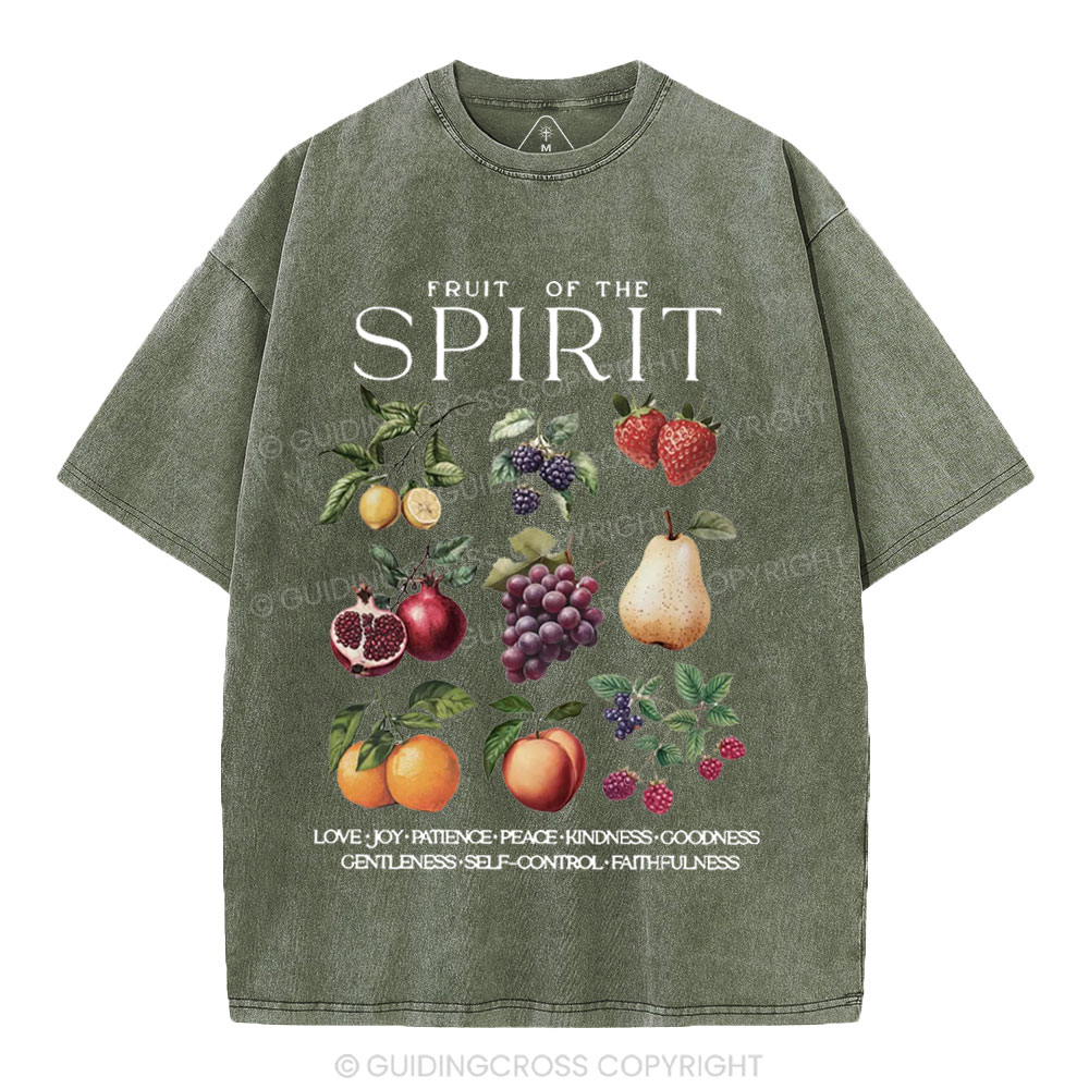 Fruit Of The Spirit Christian Washed T-Shirt