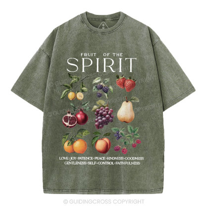 Fruit Of The Spirit Christian Washed T-Shirt