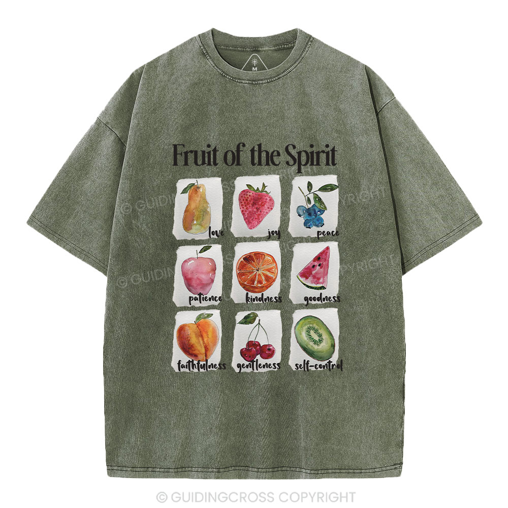 Fruit Of The Spirit Christian Washed T-Shirt