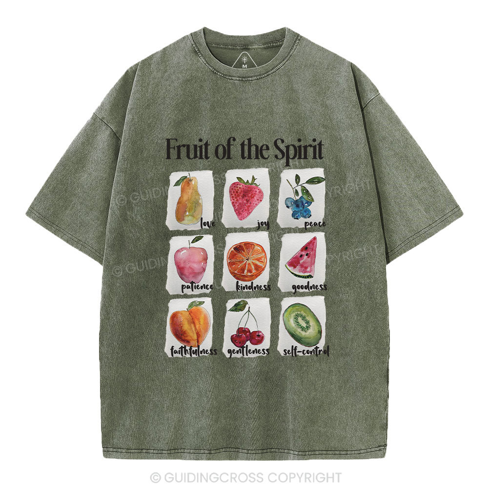 Fruit Of The Spirit Christian Washed T-Shirt