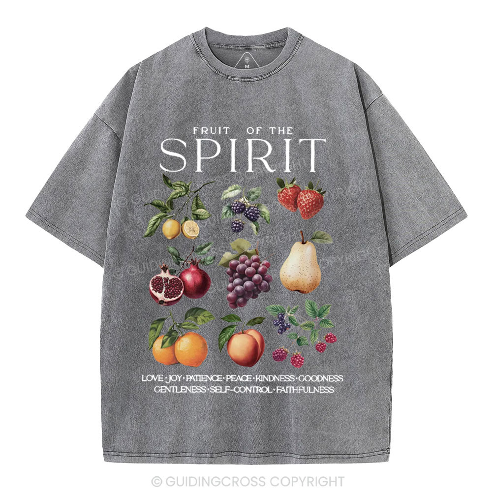 Fruit Of The Spirit Christian Washed T-Shirt