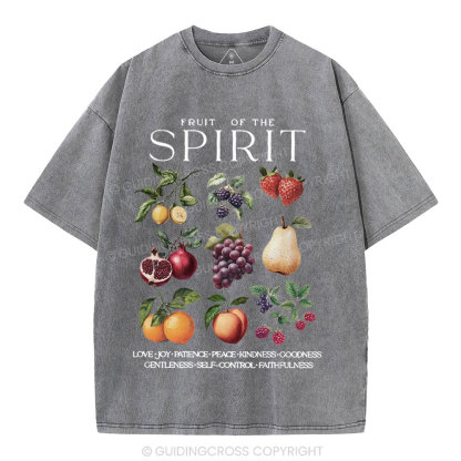 Fruit Of The Spirit Christian Washed T-Shirt