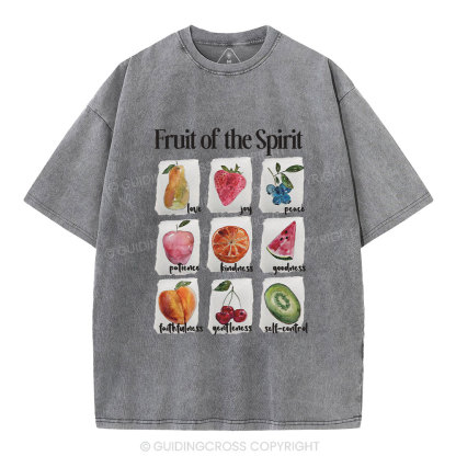Fruit Of The Spirit Christian Washed T-Shirt