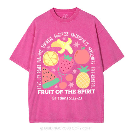 Fruit Of The Spirit Christian Washed T-Shirt