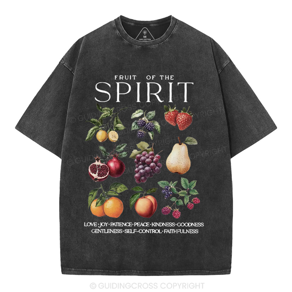 Fruit Of The Spirit Christian Washed T-Shirt