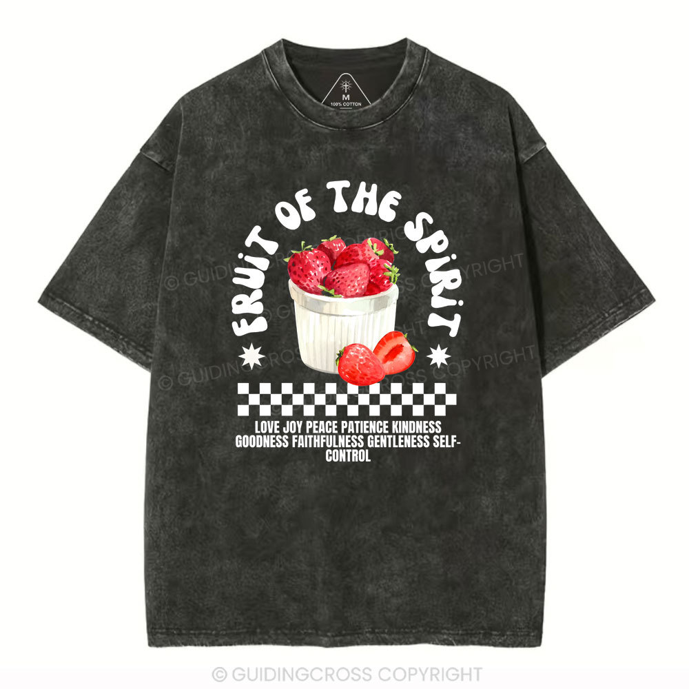 Fruit Of The Spirit Christian Washed T-Shirt