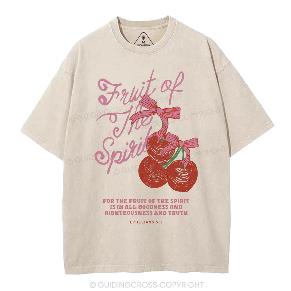 Fruit Of The Spirit Christian Washed T-Shirt