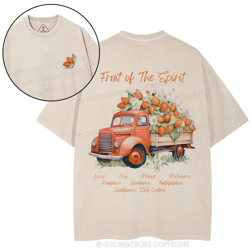 Fruit Of The Spirit Christian Washed T-Shirt