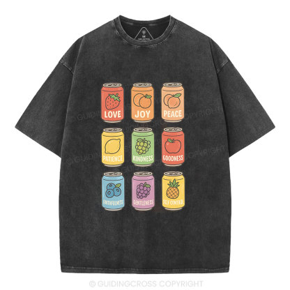 Fruit Of The Spirit Christian Washed T-Shirt