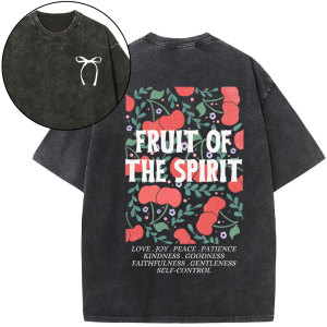 Image of Fruit Of The Spirit Christian Washed T-Shirt