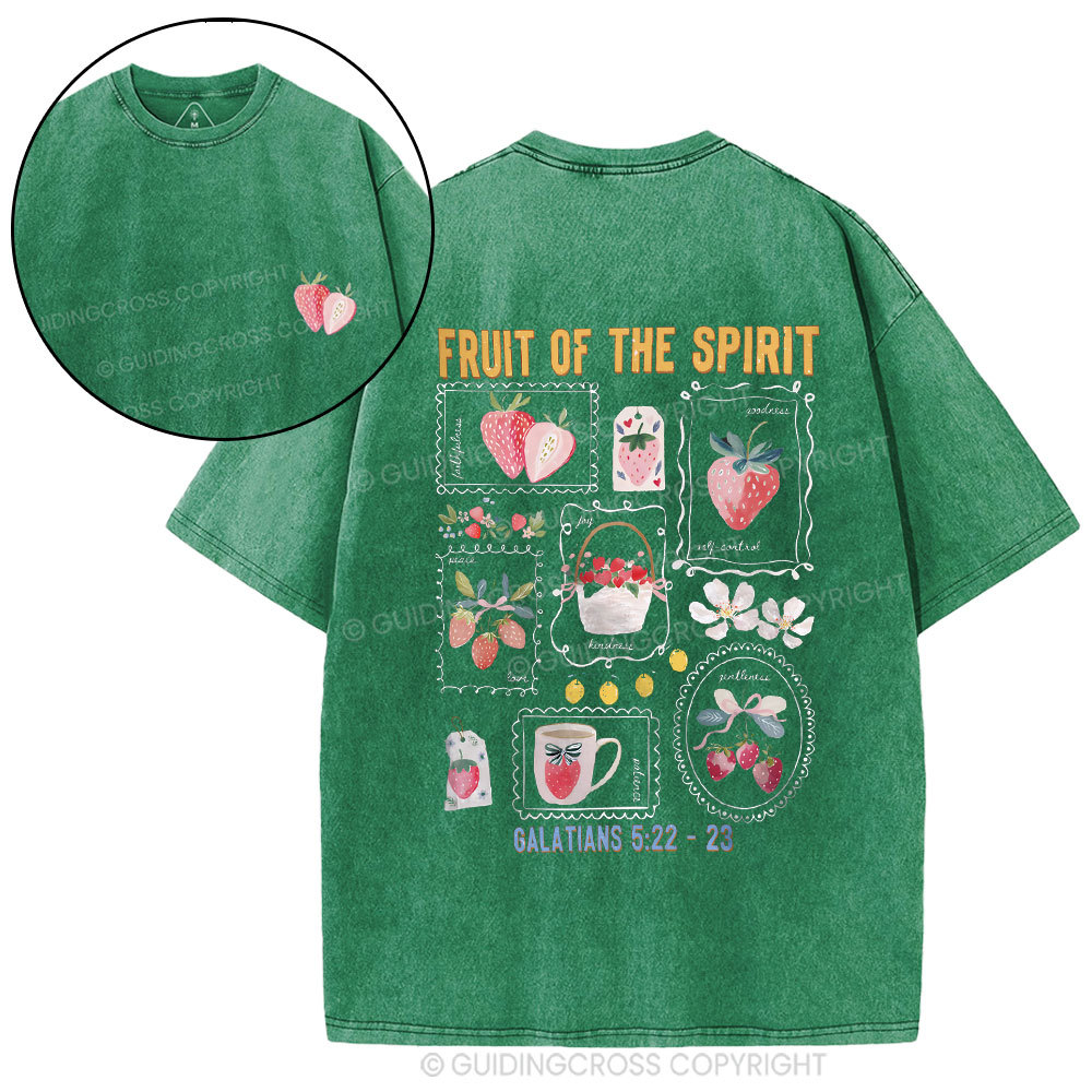 Fruit Of The Spirit Christian Washed T-Shirt