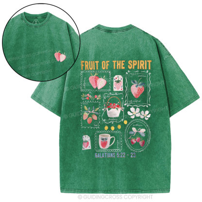 Fruit Of The Spirit Christian Washed T-Shirt