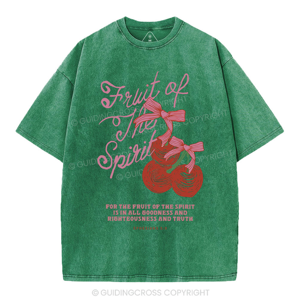 Fruit Of The Spirit Christian Washed T-Shirt