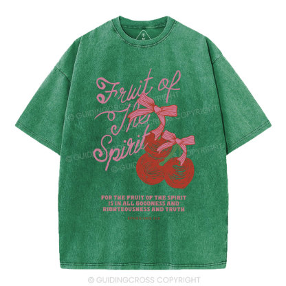 Fruit Of The Spirit Christian Washed T-Shirt