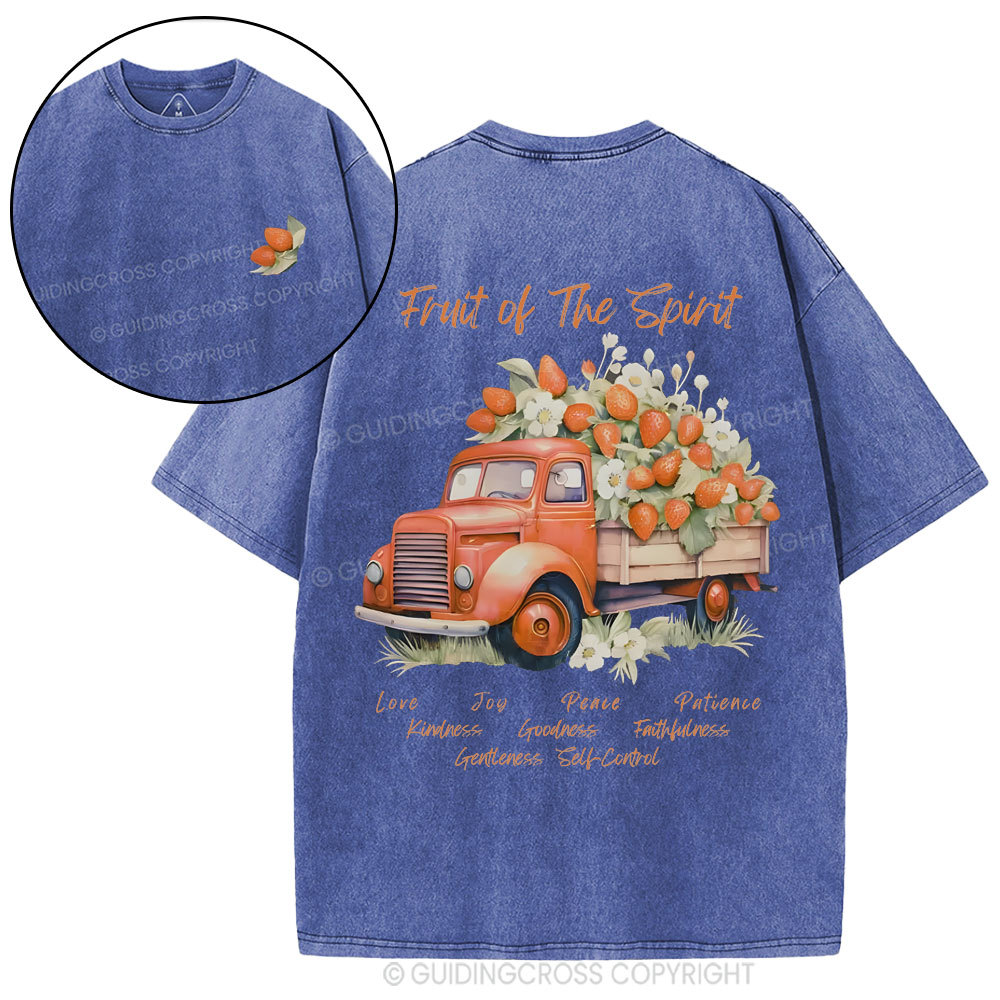 Fruit Of The Spirit Christian Washed T-Shirt