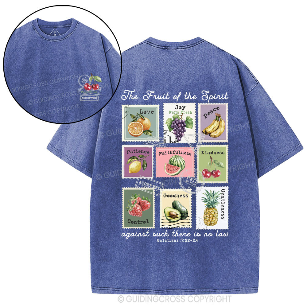 Fruit Of The Spirit Christian Washed T-Shirt