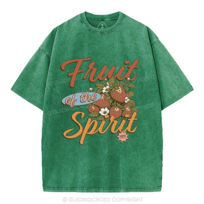 Fruit Of The Spirit Christian Washed T-Shirt