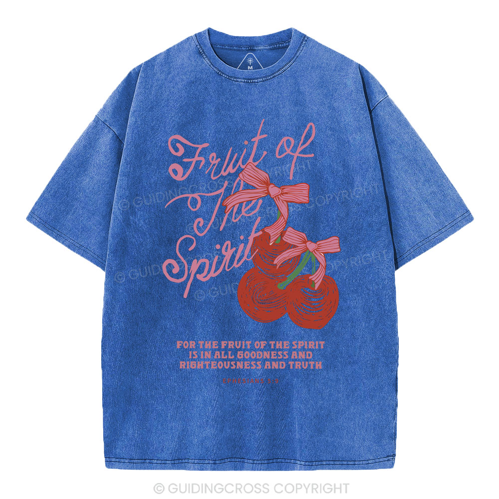 Fruit Of The Spirit Christian Washed T-Shirt