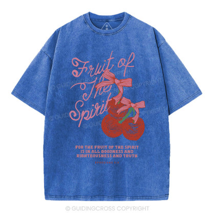 Fruit Of The Spirit Christian Washed T-Shirt