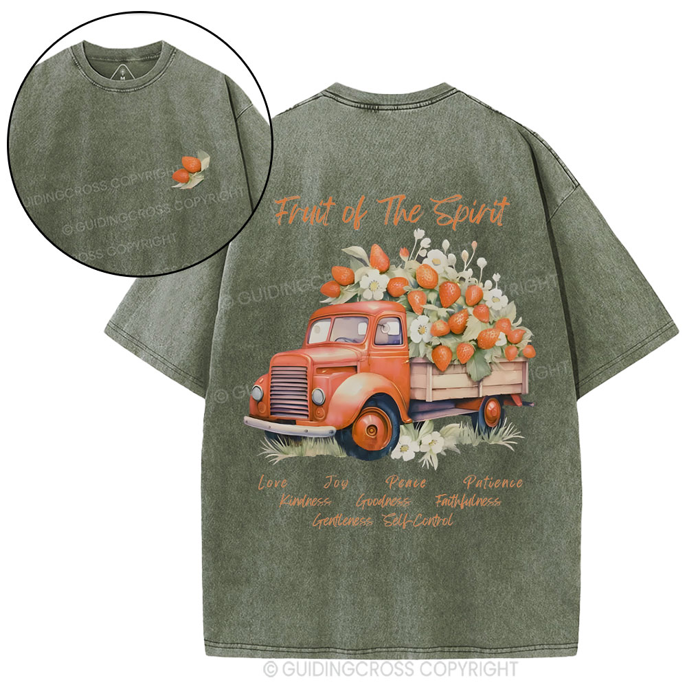 Fruit Of The Spirit Christian Washed T-Shirt