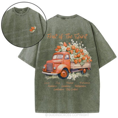 Fruit Of The Spirit Christian Washed T-Shirt