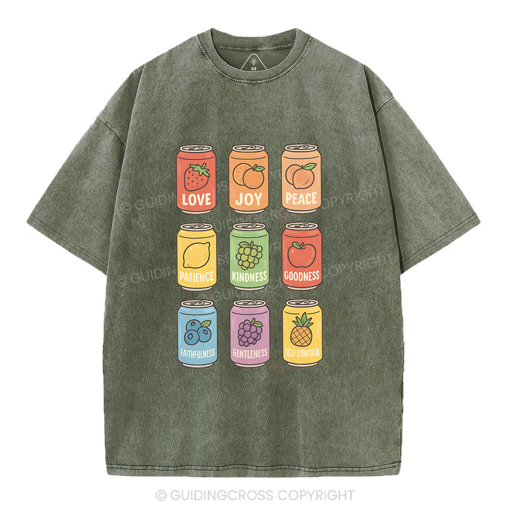 Fruit Of The Spirit Christian Washed T-Shirt
