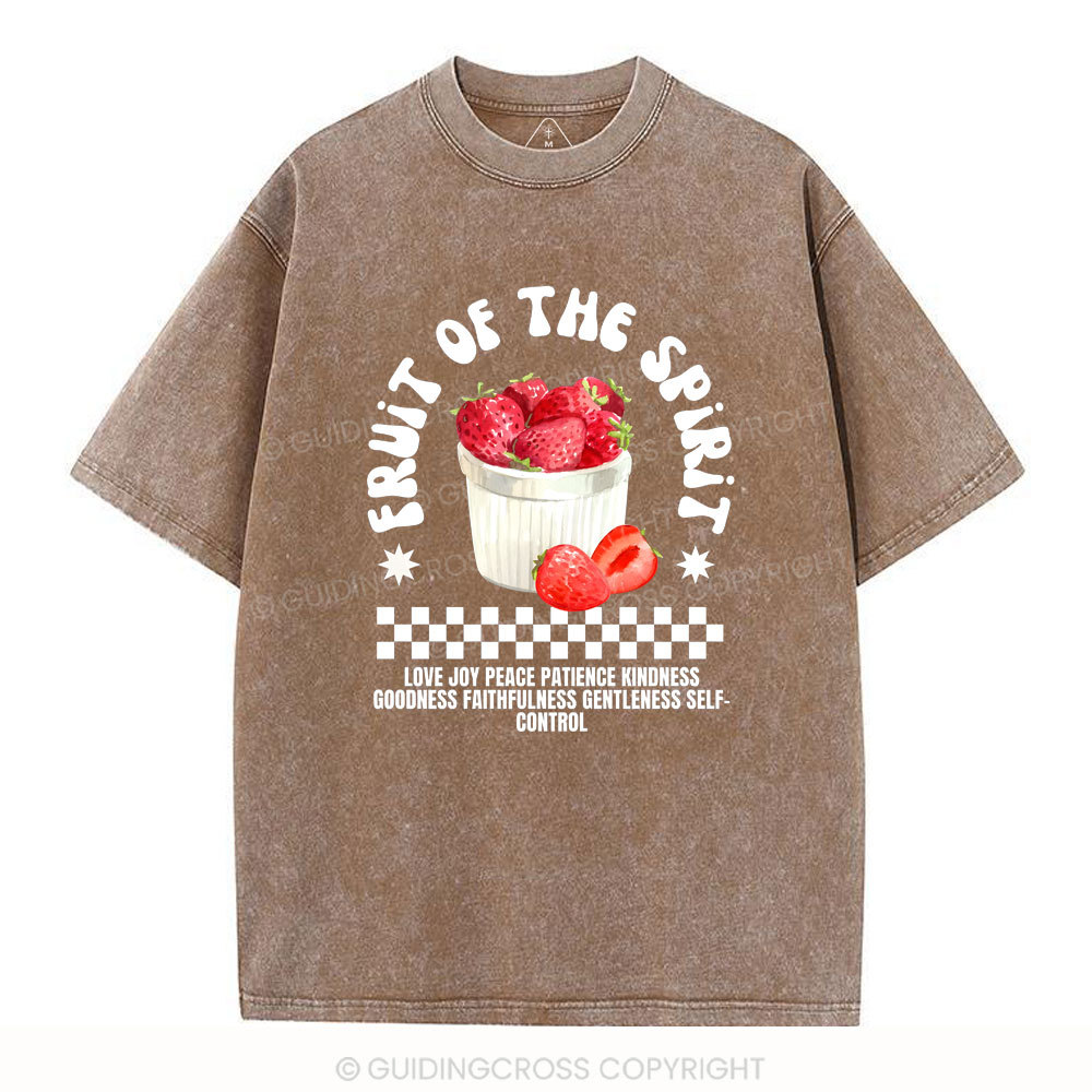 Fruit Of The Spirit Christian Washed T-Shirt