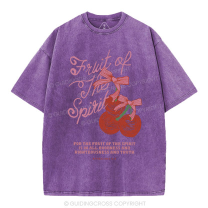 Fruit Of The Spirit Christian Washed T-Shirt