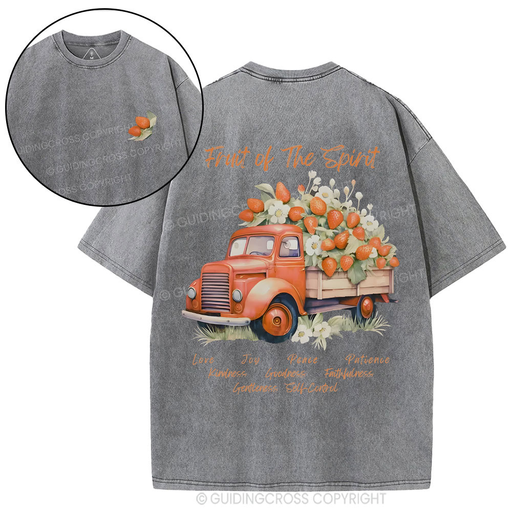 Fruit Of The Spirit Christian Washed T-Shirt
