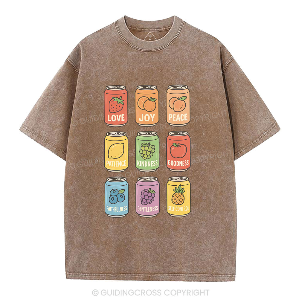 Fruit Of The Spirit Christian Washed T-Shirt