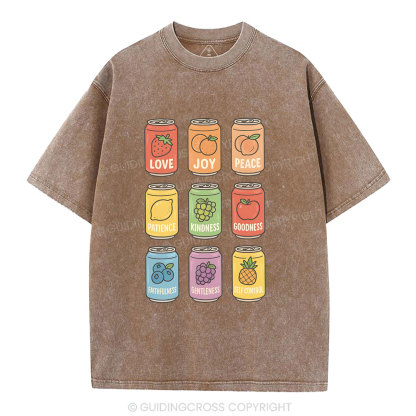 Fruit Of The Spirit Christian Washed T-Shirt