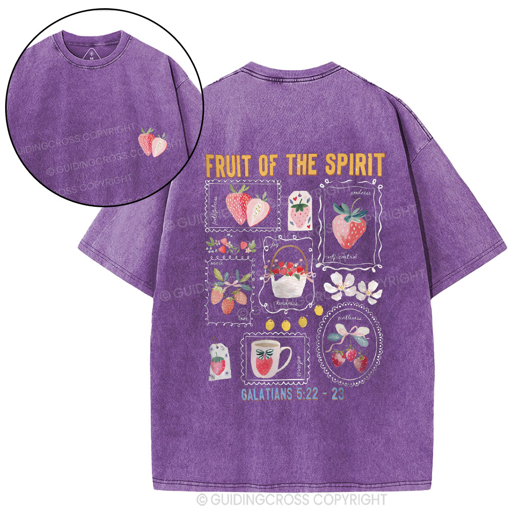 Fruit Of The Spirit Christian Washed T-Shirt