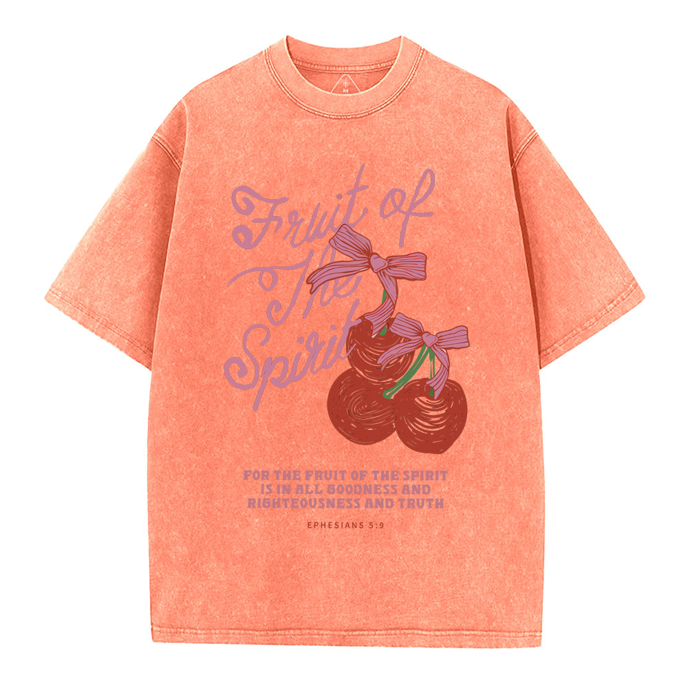 Fruit Of The Spirit Christian Washed T-Shirt