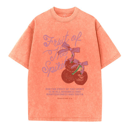 Fruit Of The Spirit Christian Washed T-Shirt