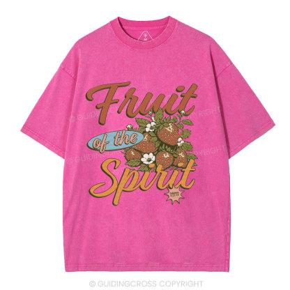 Fruit Of The Spirit Christian Washed T-Shirt