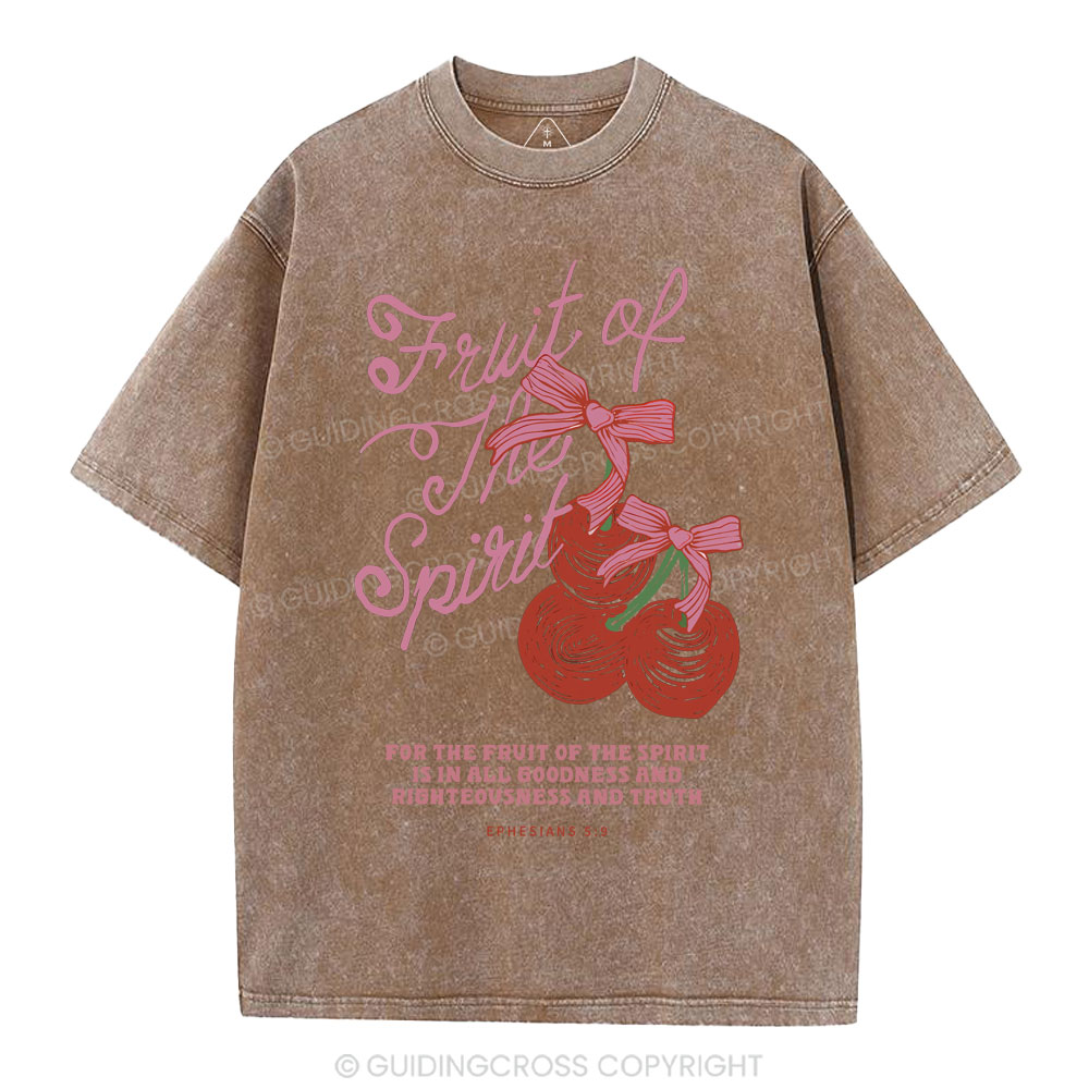 Fruit Of The Spirit Christian Washed T-Shirt