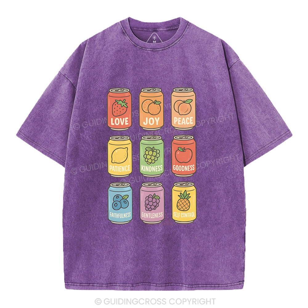 Fruit Of The Spirit Christian Washed T-Shirt