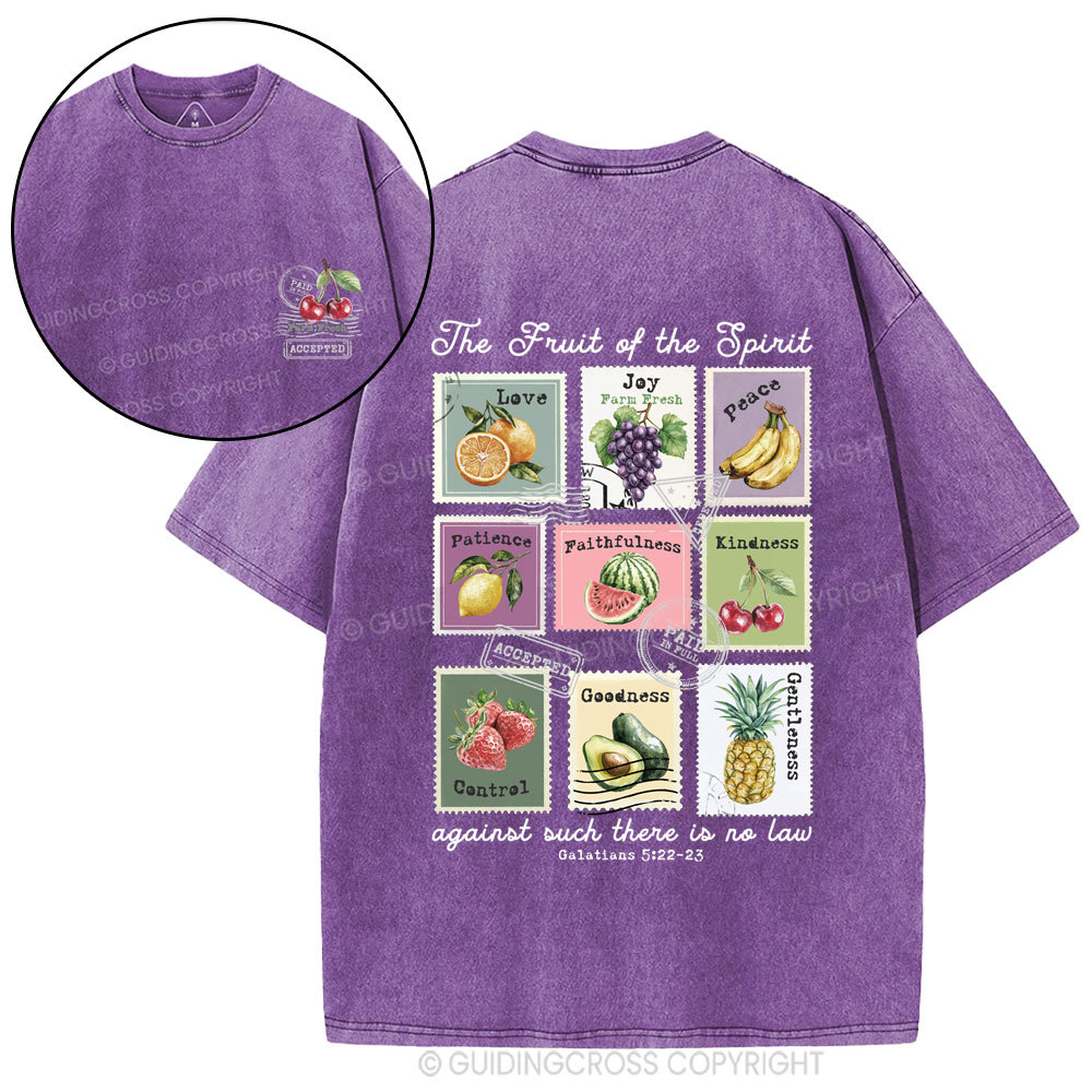 Fruit Of The Spirit Christian Washed T-Shirt