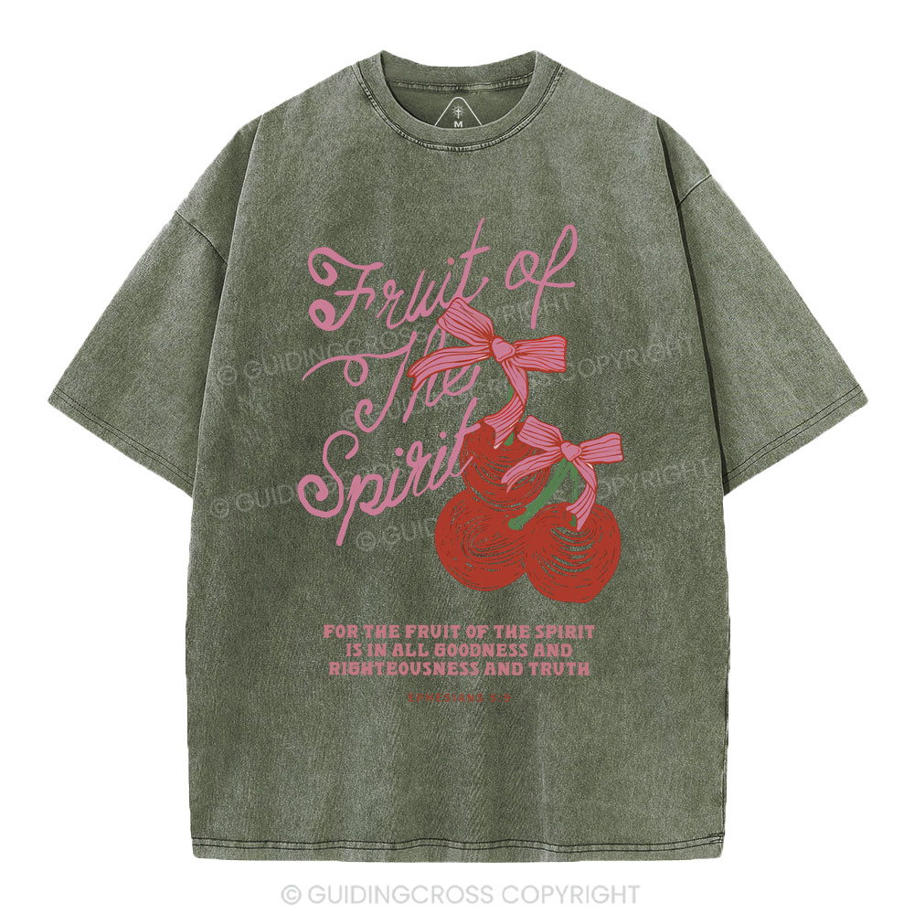 Fruit Of The Spirit Christian Washed T-Shirt