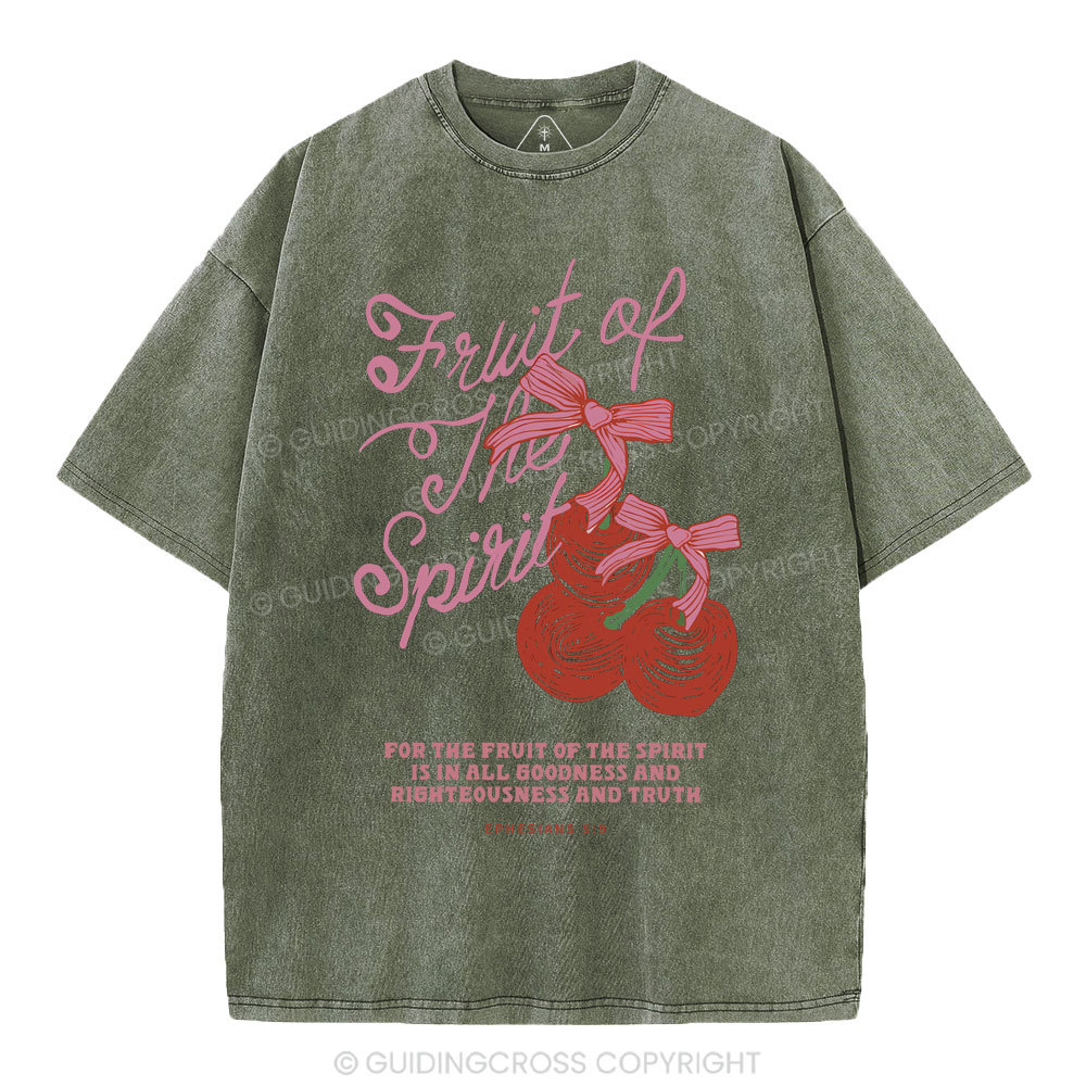 Fruit Of The Spirit Christian Washed T-Shirt