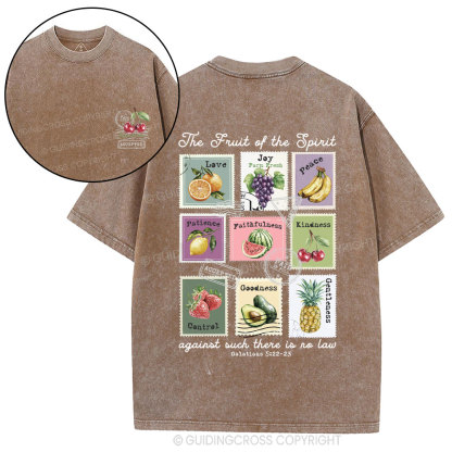 Fruit Of The Spirit Christian Washed T-Shirt