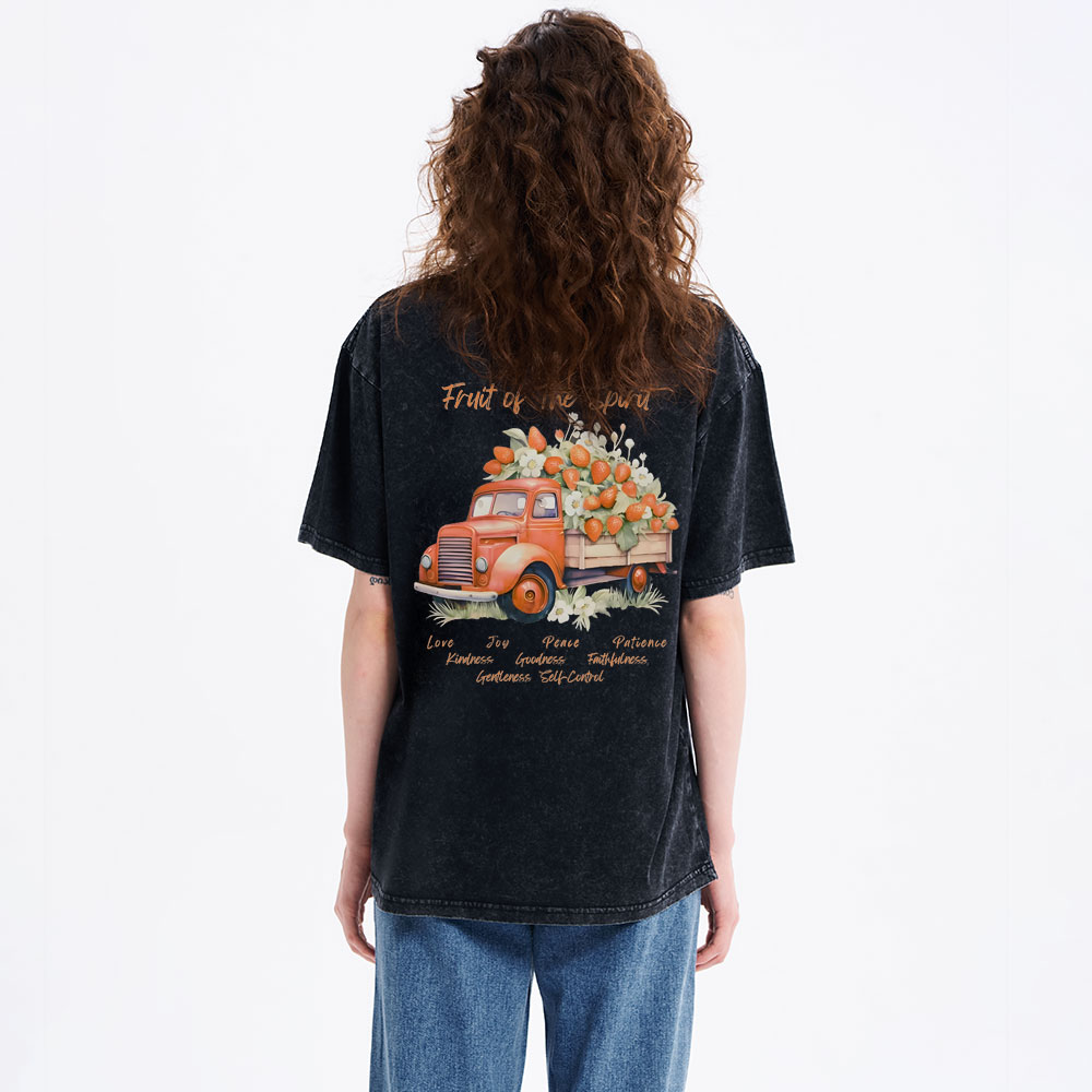 Fruit Of The Spirit Christian Washed T-Shirt