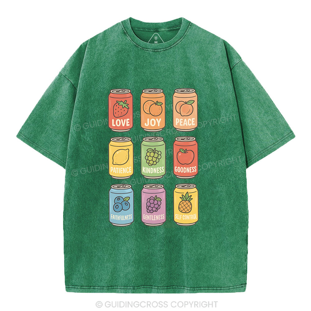 Fruit Of The Spirit Christian Washed T-Shirt