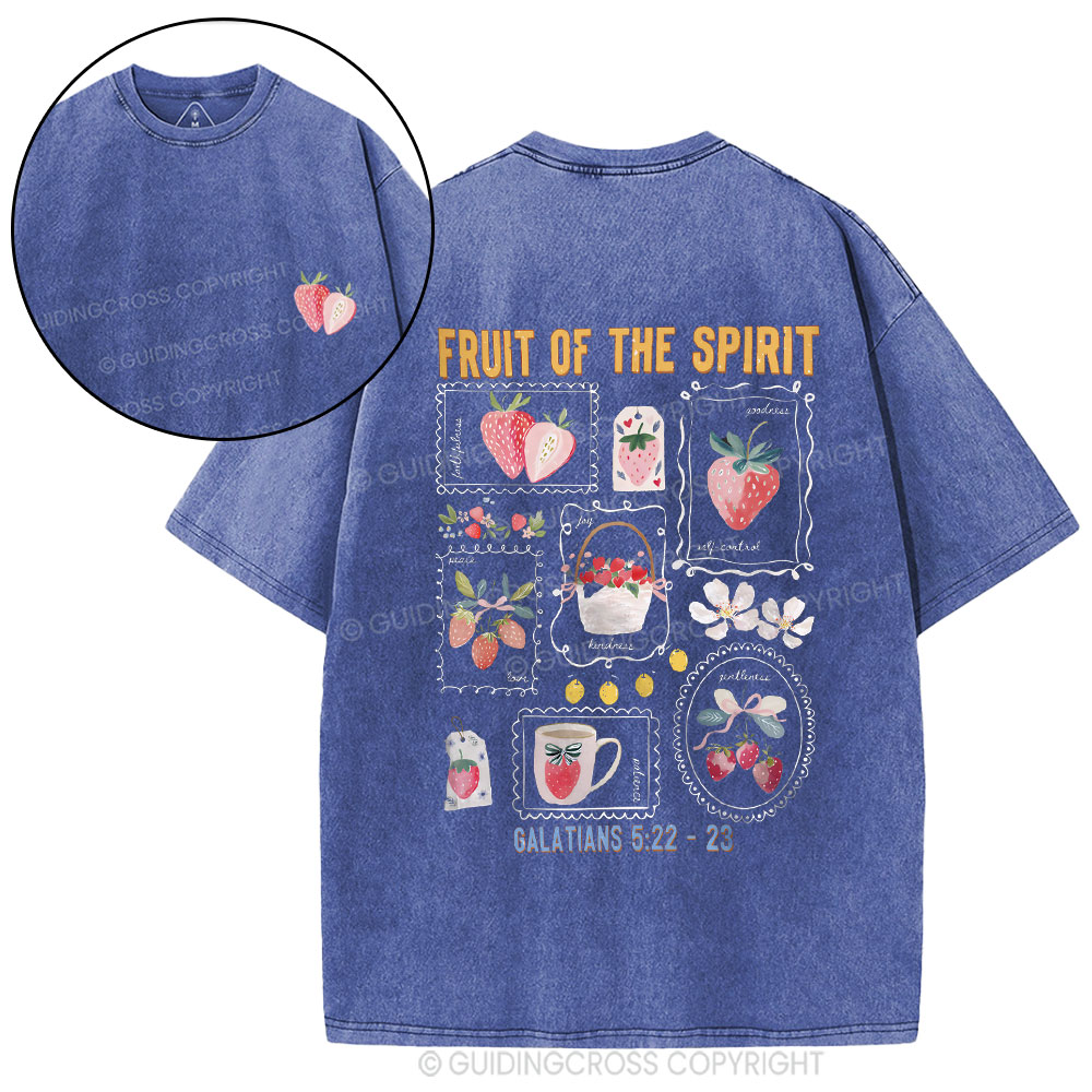Fruit Of The Spirit Christian Washed T-Shirt