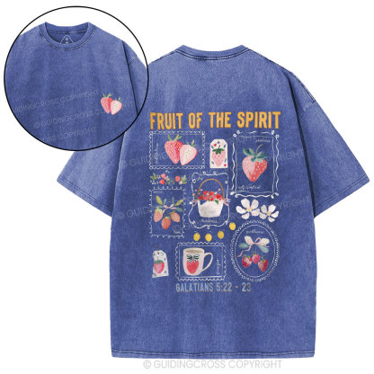 Fruit Of The Spirit Christian Washed T-Shirt