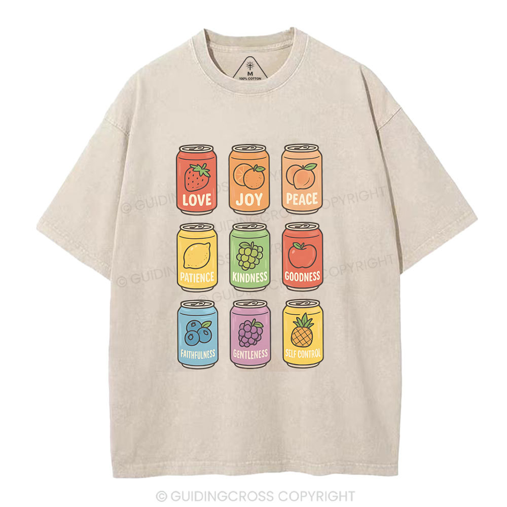 Fruit Of The Spirit Christian Washed T-Shirt