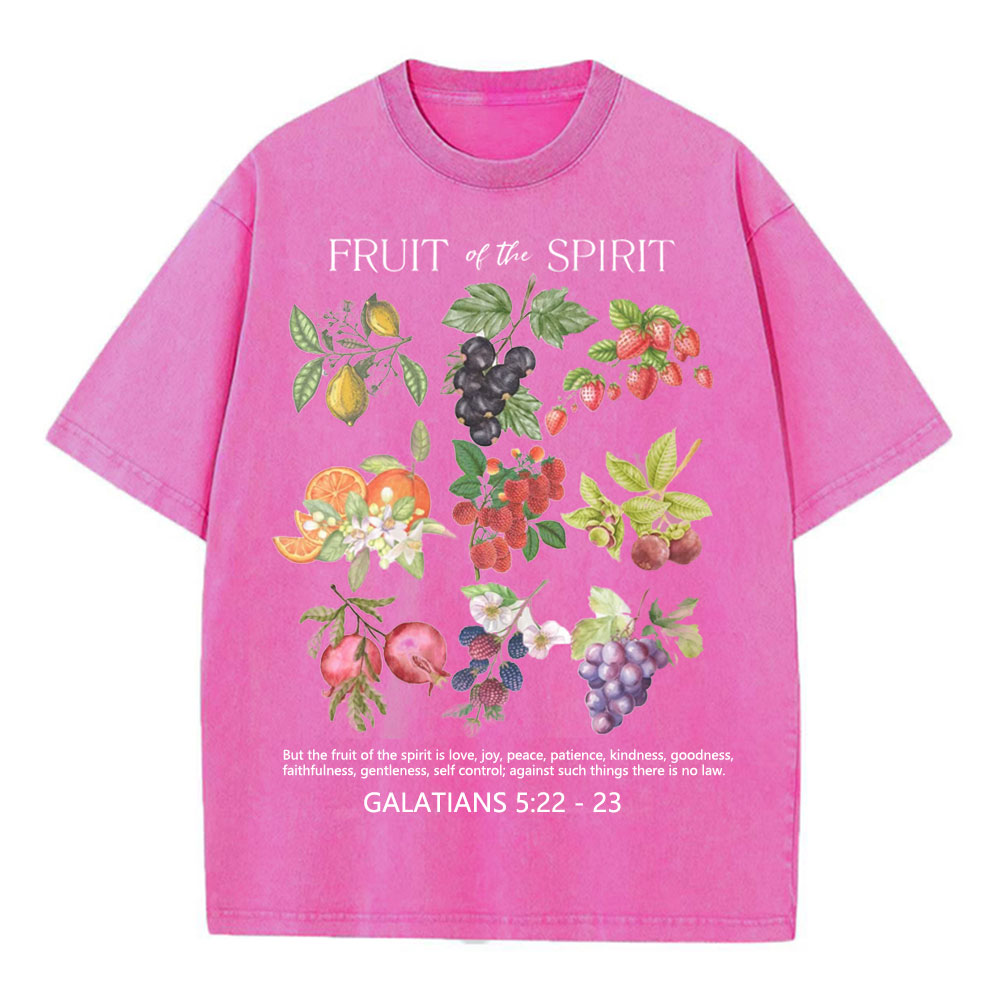 Fruit Of The Spirit Christian Washed T-Shirt