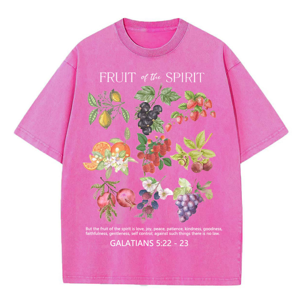 Fruit Of The Spirit Christian Washed T-Shirt