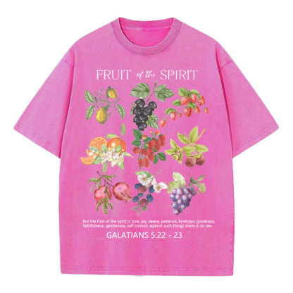 Fruit Of The Spirit Christian Washed T-Shirt