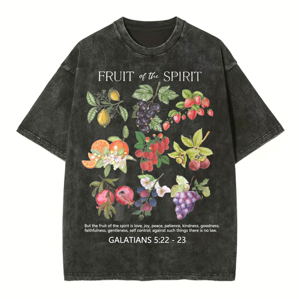 Fruit Of The Spirit Christian Washed T-Shirt